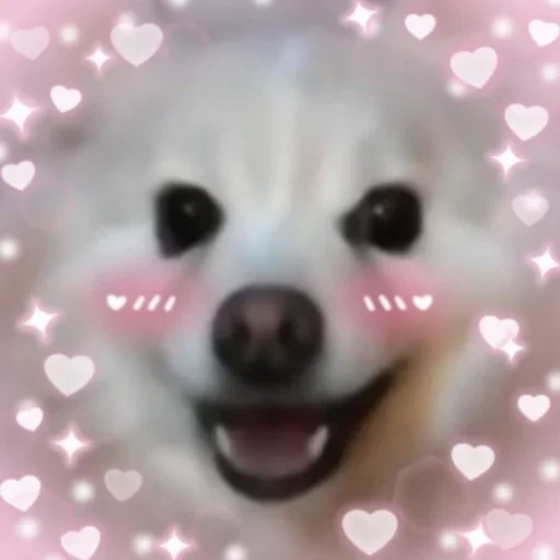 💗 Стикер «пёс мичик» для Telegram