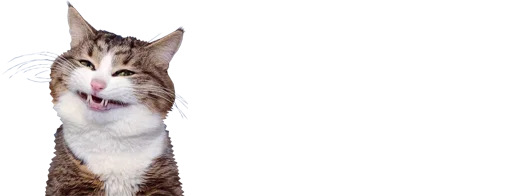 😬 Стикер «микро коты» для Telegram