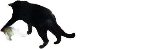 🤛 Стикер «микро коты» для Telegram