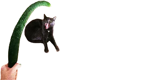 😼 Стикер «микро коты» для Telegram