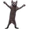 Стикер 51 Микрокотики (Microcats)
