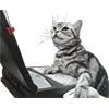 Стикер 55 Микрокотики (Microcats)
