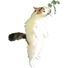 Стикер 56 Микрокотики (Microcats)