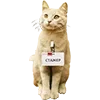 Стикер 23 Микрокотики (Microcats)