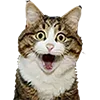 Стикер 2 Микрокотики (Microcats)