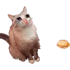 Стикер 37 Микрокотики (Microcats)