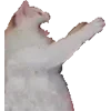 Стикер 40 Микрокотики (Microcats)