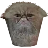 Стикер 58 Микрокотики (Microcats)