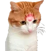 Стикер 19 Микрокотики (Microcats)