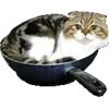 Стикер 33 Микрокотики (Microcats)