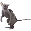 Стикер 26 Микрокотики (Microcats)