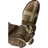 Стикер 17 Микрокотики (Microcats)