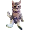 Стикер 59 Микрокотики (Microcats)