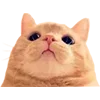 Стикер 60 Микрокотики (Microcats)
