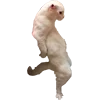 Стикер 21 Микрокотики (Microcats)