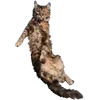 Стикер 24 Микрокотики (Microcats)