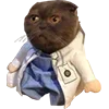 Стикер 41 Микрокотики (Microcats)