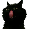 Стикер 15 Микрокотики (Microcats)