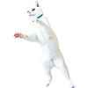 Стикер 48 Микрокотики (Microcats)