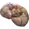Стикер 25 Микрокотики (Microcats)