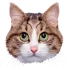 Стикер 3 Микрокотики (Microcats)