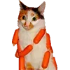 Стикер 38 Микрокотики (Microcats)