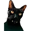 Стикер 14 Микрокотики (Microcats)