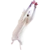 Стикер 44 Микрокотики (Microcats)