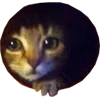 Стикер 11 Микрокотики (Microcats)