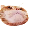 Стикер 9 Микрокотики (Microcats)