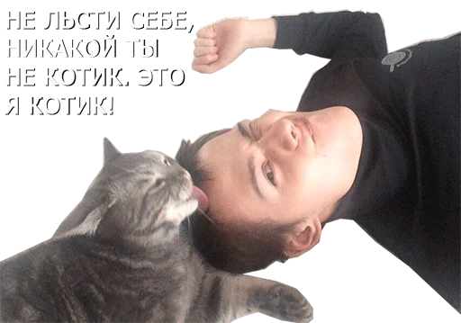 😼 Стикер «Михаэль куда-то Шагал» для Telegram