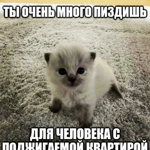 😡 Стикер «няшные стикеры и не только» для Telegram