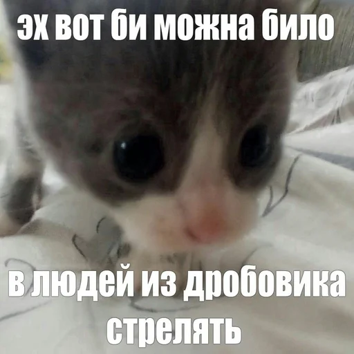 😔 Стикер «няшные стикеры и не только» для Telegram