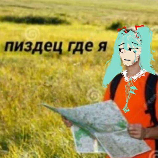 😢 Стикер «mikudayo» для Telegram