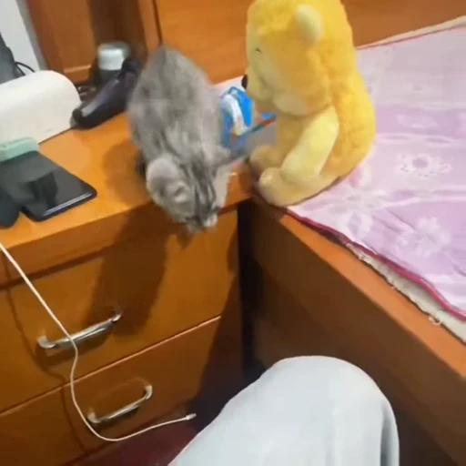 🐈 Стикер «Милахи животные» для Telegram