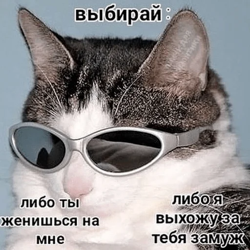 💍 Стикер «yeah lol» для Telegram