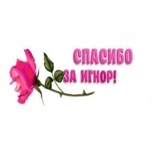 🌹 Стикер «yeah lol» для Telegram