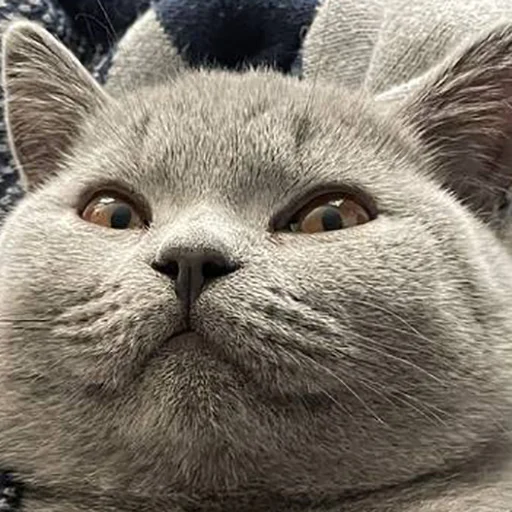 ☺️ Стикер «Miles_pack» для Telegram
