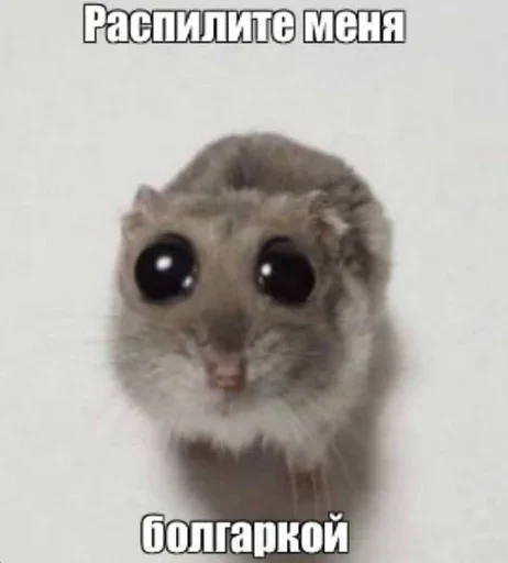 😓 Стикер «Мили» для Telegram