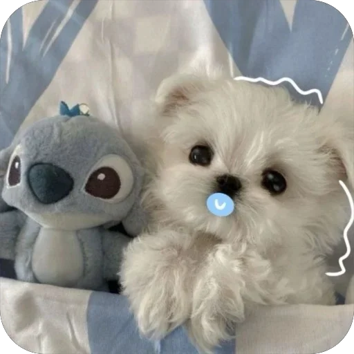 Стикерпак мило для Telegram