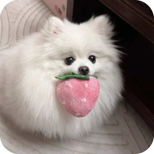 🍓 Стикер «мило» для Telegram