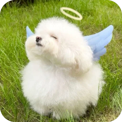 😇 Стикер «мило» для Telegram