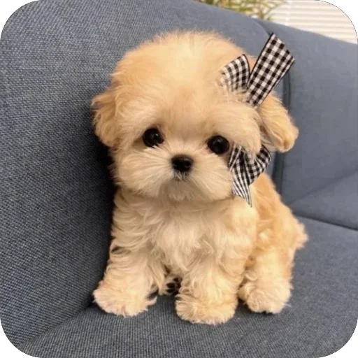 😞 Стикер «мило» для Telegram