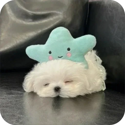 😴 Стикер «мило» для Telegram