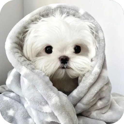 🥰 Стикер «мило» для Telegram