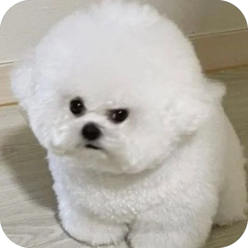 🤨 Стикер «мило» для Telegram