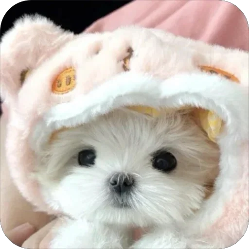 ❤️ Стикер «мило» для Telegram