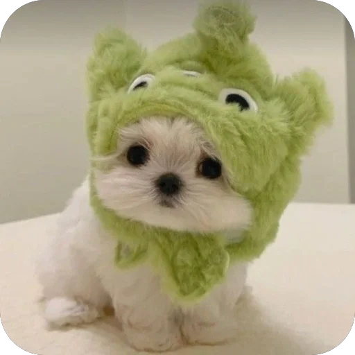 🧸 Стикер «мило» для Telegram
