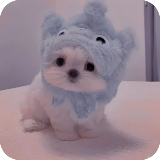 🥶 Стикер «мило» для Telegram