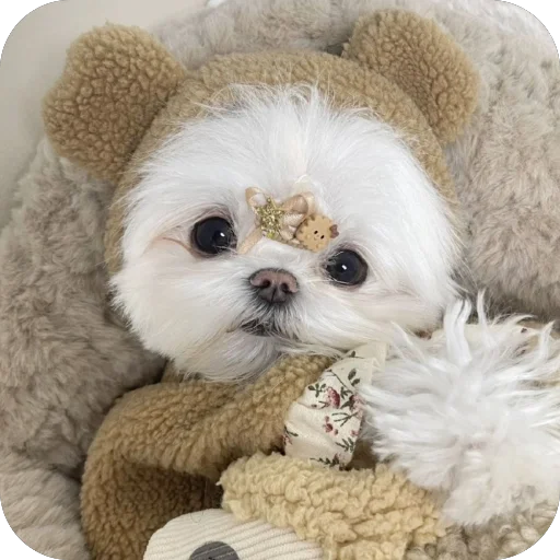 🐻 Стикер «мило» для Telegram